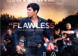 南城警事 第四季,正义之战，智慧交锋