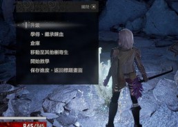 地图和槲寄生,探寻自然与文化的交融之旅