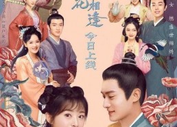 玉面桃花总相逢（卫视版）,卫视版传奇爱情故事